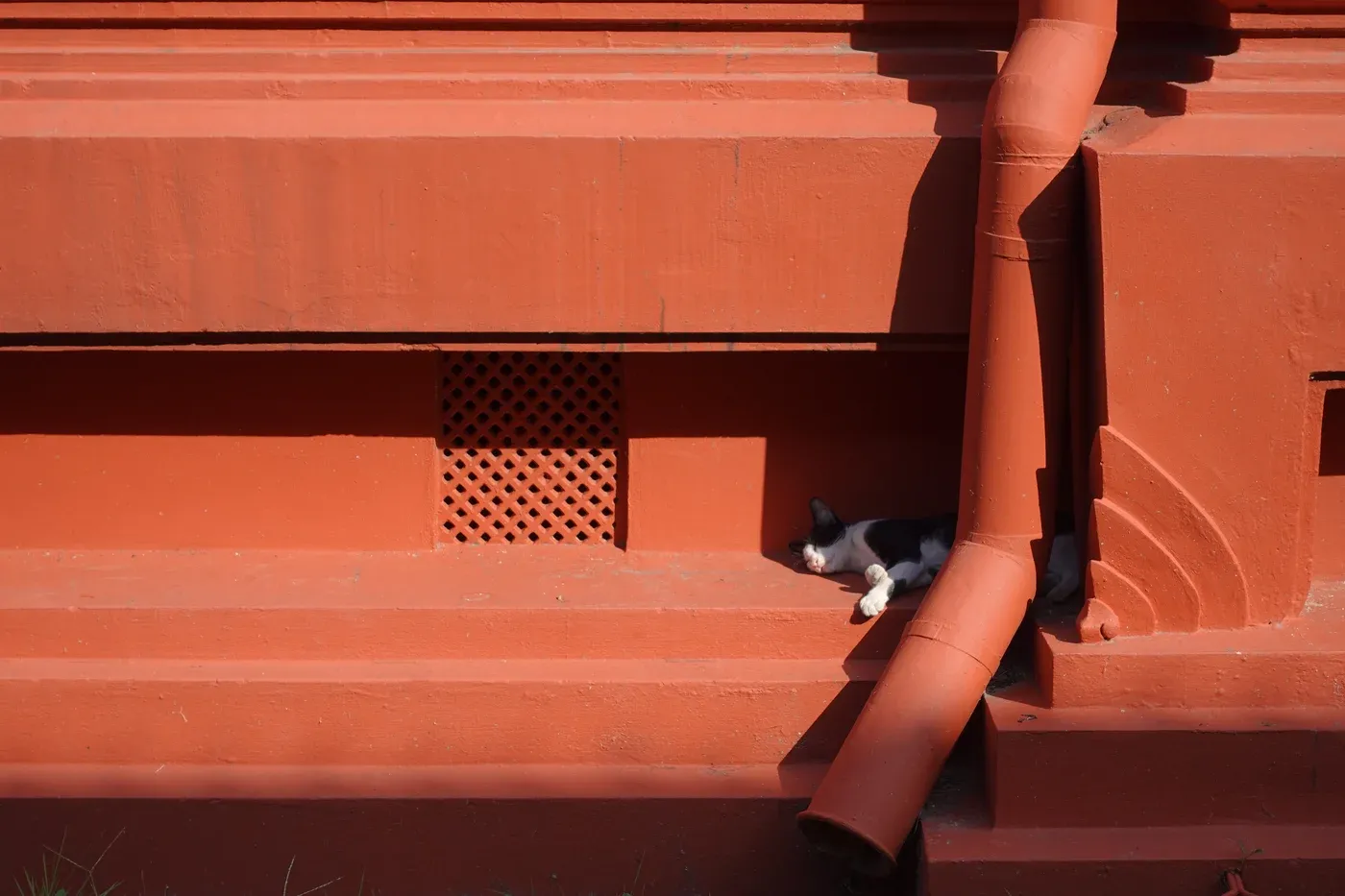 My Favourite Shots - Feb 2024